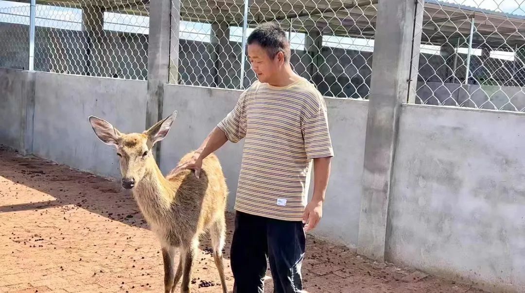 威尼斯现金真钱